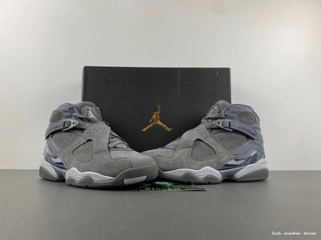 Rep LUCY Cool Grey Jordan 8 Retro 305381-014 0724